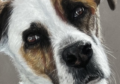 Free HTML5 Website Template by FreeHTML5.co