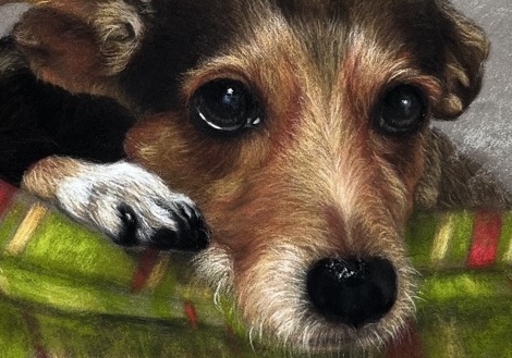 Free HTML5 Website Template by FreeHTML5.co