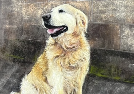 Free HTML5 Website Template by FreeHTML5.co